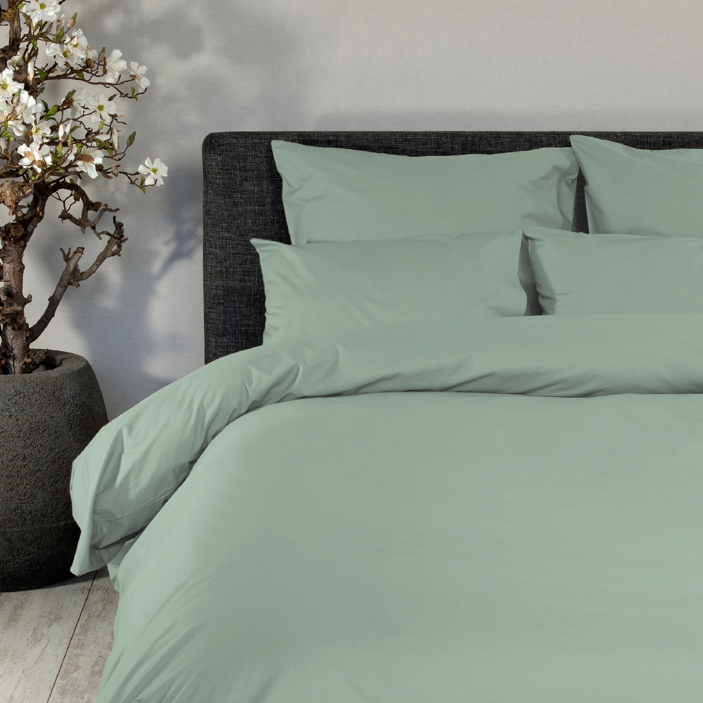 Dommelin Dekbedovertrek Set Percal 200TC Spargroen Dommelin Dekbedovertrek Set Percal 200TC Spargroen