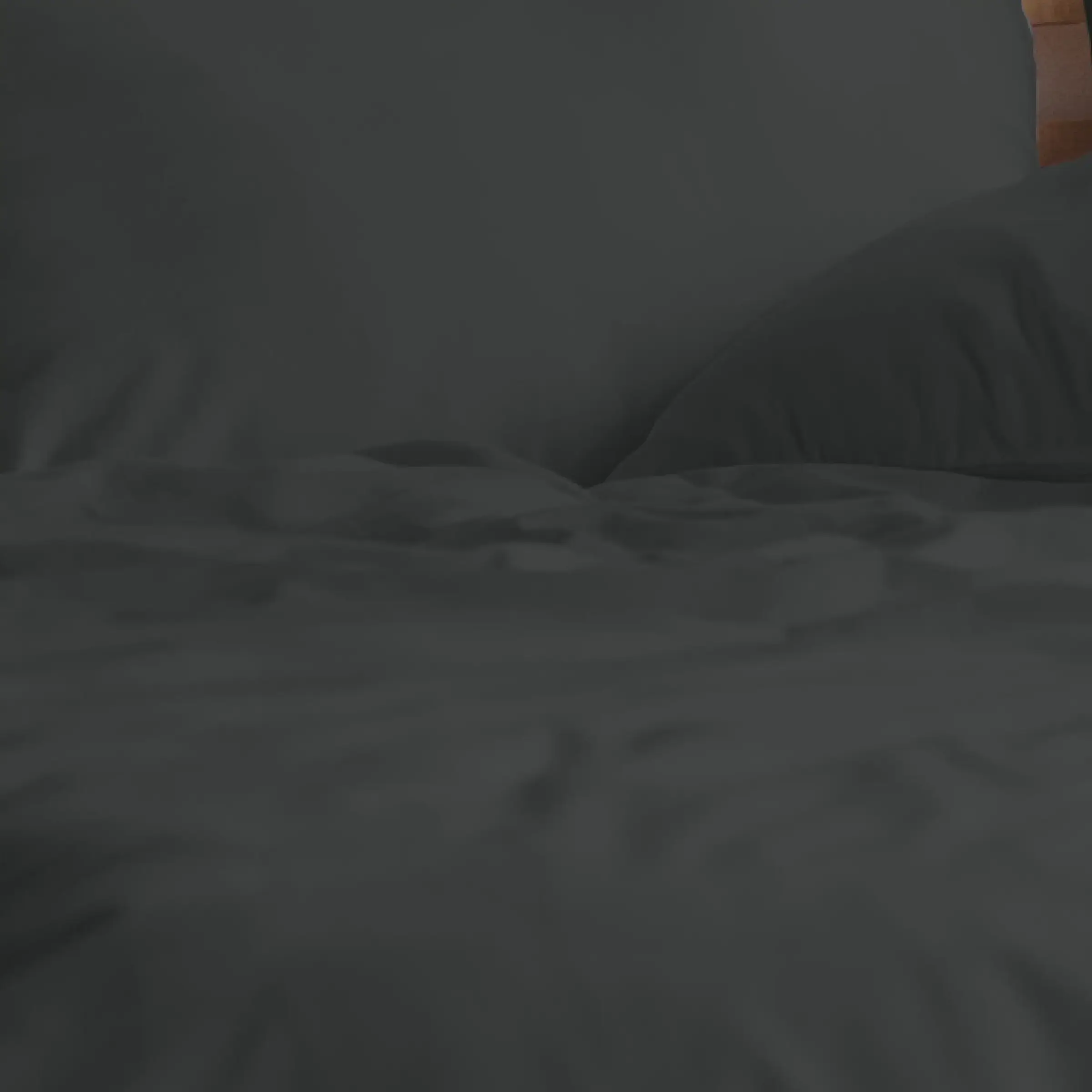 Dommelin Dekbedovertrek Katoen 180TC Carbon